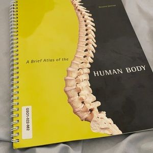 A Brief Atlas of the Human Atlas